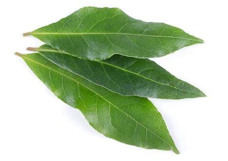 Wellton zawiera ekstrakt z liścia laurowego - kopia